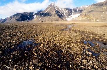 Tundra on the West coast of PrinsCarls Forland Svalbard