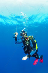 Diver performing his decompression stop  Antheors Peniches dive site  Cote d'Azur  France