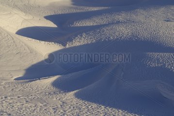Schneebedeckte Wellen mit dem Kragen des kleinen SÃ¤umen-Bernard-Frankreichs