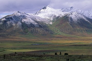 Montagne enneigée dans la toundra Yukon Canada