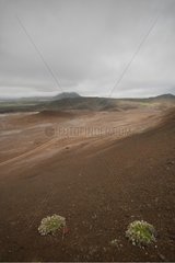 Volcanic landscape in Iceland