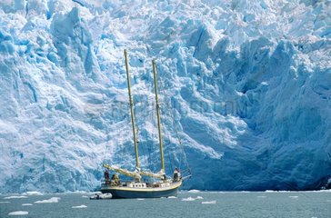 Canal Beagle  croisière sur le bateau le Valhalla  glacier