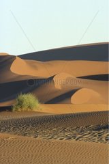Landscape of dunes Sossusvlei Namibia