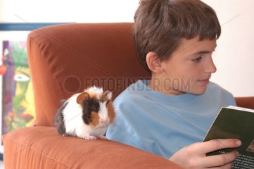 Enfant lisant avec son cochon d'Inde tricolore