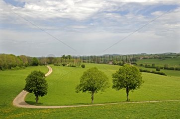 Countryside landscape in spring near Champagnol Jura France