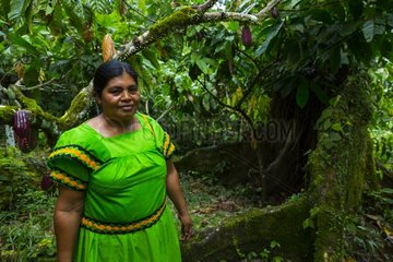 Woman Ngabe and Cocoa pods Oeste Arriba river Panama