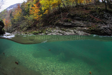 Underwater landscape  mid-air half-water  the river Dead Guiers in autumn  Gorges du Guiers death  Isère  France