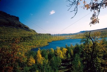 Lake im Herbst Sarek National Park im Lappland Schwedisch