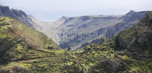 Gipfel mit Vegetation La Gomera Canary bedeckt