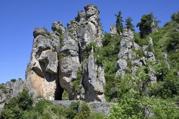 Gorges de la Jonte  Massif Central  Cevennes  France