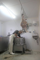 Man in his organic poultry slaughterhouse  Provence  France