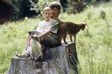 Children sitting with cats on a cut tree trunk
