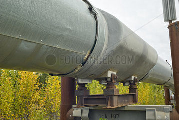 Dalton Highway : from Fairbanks to Prudhoe Bay  Trans Alaska Pipeline System (TAPS) Detail of Fittings  Alaska  USA