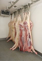 Carcasses de porcs dans camion frigorifique