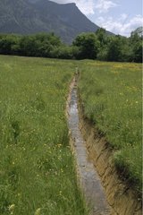 Ditch of drainage in a marsh