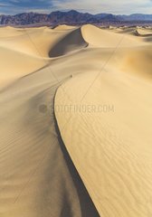 Mesquite Flat Sand Dunes - Death Valley NP California