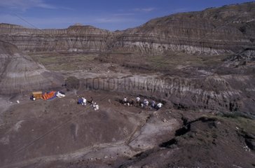 Alberta Canada Paläontologische Ausgrabungsstelle