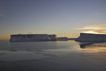 Icebergs at dusk Antarctica