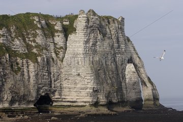 Cliffs at Etretat at low tide
