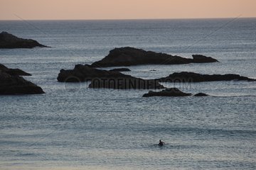 Surfer in seinem Vorstand in der Nähe der Küste in Twilight France