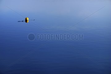 Buoy floating on a pond Lorraine France