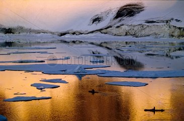 Kayak de mer sous le soleil de minuit Groenland