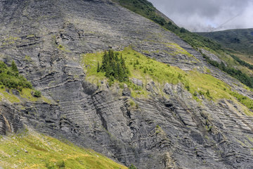 Baulet Crescent cliffs  marl alternations and black clay limestones of the Bajocian (Jurassic)  seen from the Avenaz  above Sallanches  Haute-Savoie  Alps  France