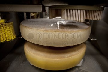 Robot for brushing and turning the Comté (cheese) France