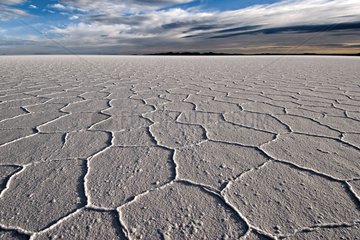Immense SalzwÃ¼ste namens Salar von Uyuni Bolivien