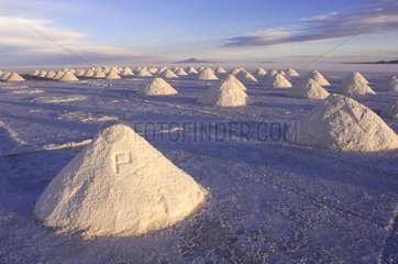 Exploitation of salt Salar de Tunupa south west of Bolivia