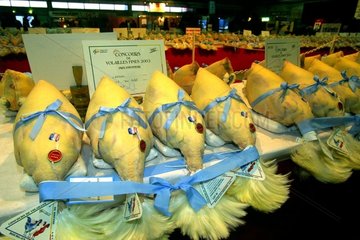 Contest of the most beautiful poultry at Glorieuses de Bress
