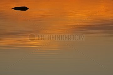 Reflections of a sunset over a lake Sweden
