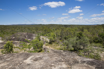 Subtropical landscape in Mareeba  Atherton plateau  Queensland  Australia