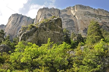 Limestone clives in the Jonte Gorges France