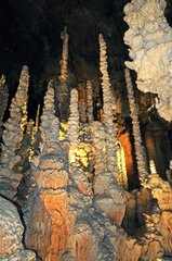 Forest of stalactites in the Armand Cave Cevennes France