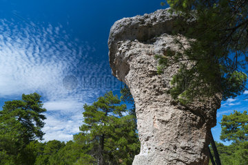 Mushroom Rock  Ciudad Encantada  Serranía de Cuenca Natural Park  Cuenca  Castilla - La Mancha  Spain  Europe