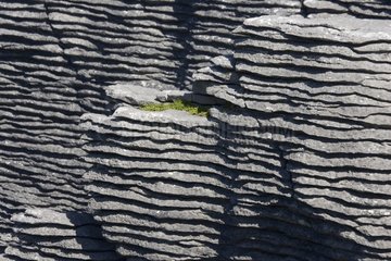 Limestone outcrops on cliffs Punakaiki South Island