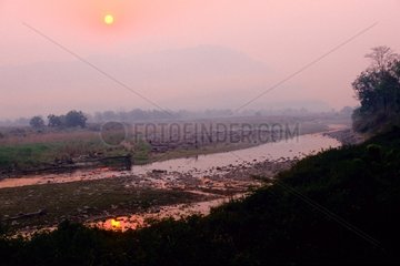 Landschaft und Fluss in Dawn im Corbett National Park India Indien