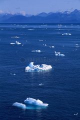 Croisière en Alaska. Glaciers et iceberg.
