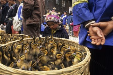Junge Dongjunge in einer Marktprovinz Guizhou China