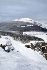 Mézenc Mount in winter Monts d'Ardèche Park