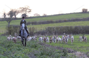 Fox hunter with hound in the British countryside  England
