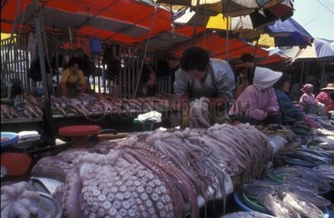 Saleswomen of octopus on the fish market South Korea