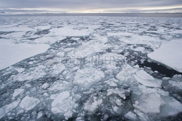 Ozean mit Packeis um Mitternacht Svalbard bedeckt