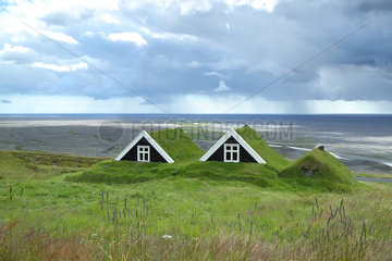 Green farm  Svartifoss  Iceland