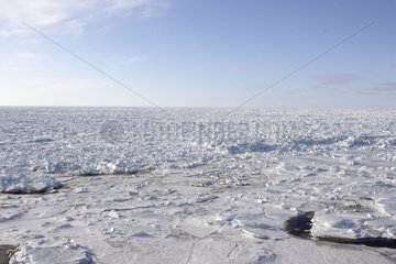 Eis im Winter Cape Meule Kanada