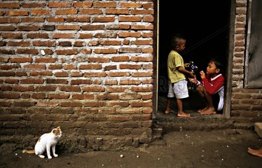 Kinderspiele und Katze in einer StraÃŸe Java