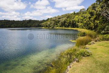 Lake Barrine  crater lake  located on the Atherton Plateau  Queensland  Australia