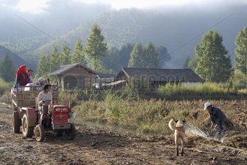 Die Straße zur Ernte von Reis Yunnan China