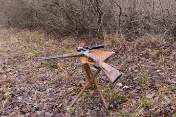 Hunting big game  Hunting station with stool and weapon  Rhine forest  Alsace  France